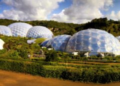 Agriculture Domes Ecolism Bible series